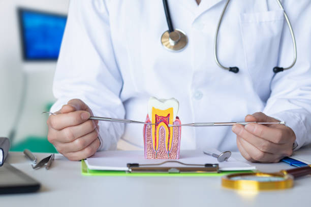 Best Emergency Dental Filling Replacement  in Weidman, MI